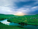 Mosel-Landschaft bei Leiwen